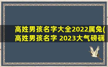 高姓男孩名字大全2022属兔(高姓男孩名字 2023大气磅礴的属兔男生取名)